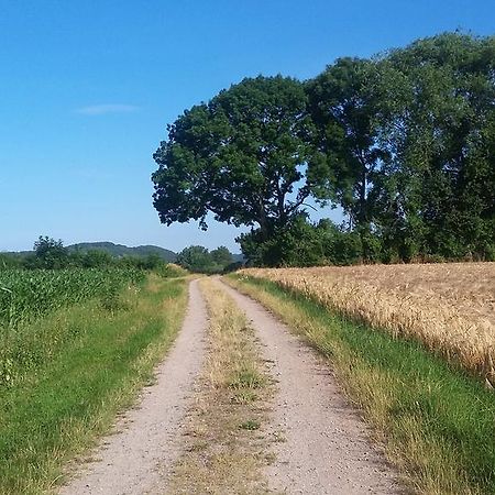 Landgasthof Zur Untermuehle Datterode Zewnętrze zdjęcie