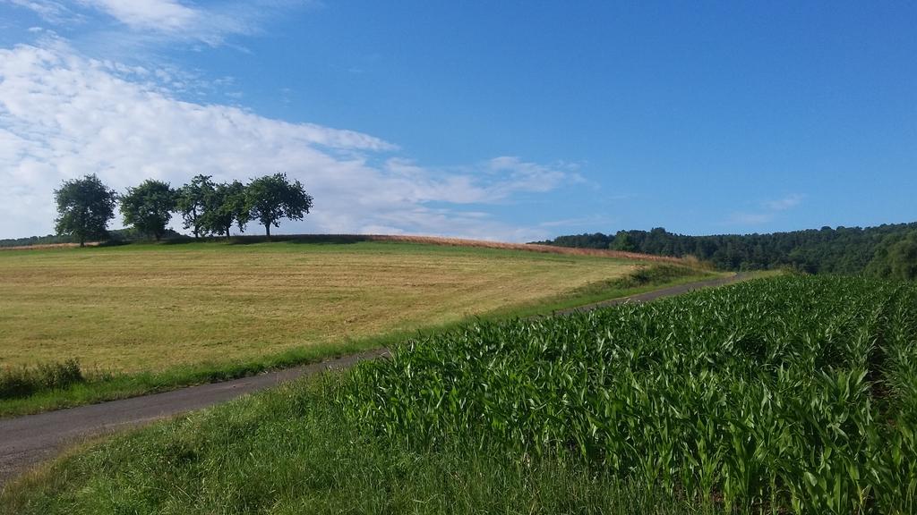 Landgasthof Zur Untermuehle Datterode Zewnętrze zdjęcie