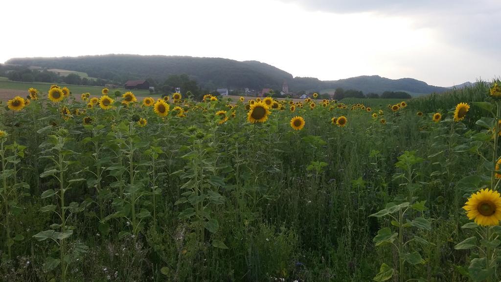 Landgasthof Zur Untermuehle Datterode Zewnętrze zdjęcie