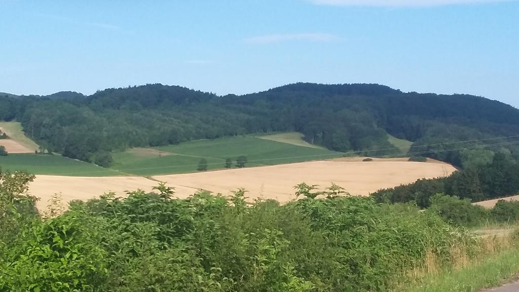 Landgasthof Zur Untermuehle Datterode Zewnętrze zdjęcie
